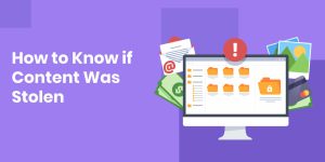 What To Do If Your OnlyFans Content Is Stolen - DMCA Authority